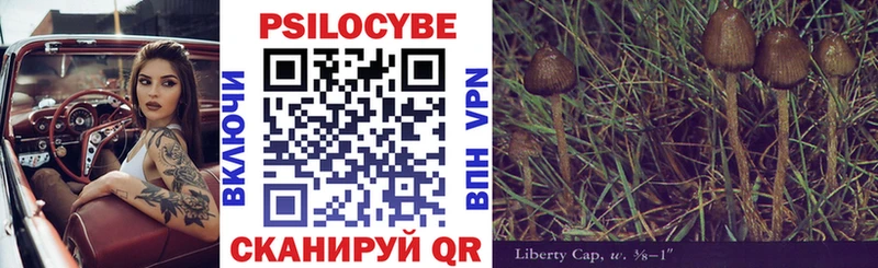 даркнет сайт  darknet формула  Псилоцибиновые грибы Psilocybe  Заречный 
